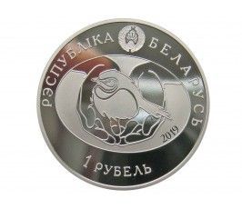 Белоруссия 1 рубль 2019 г. (Птица года - Большой подорлик)