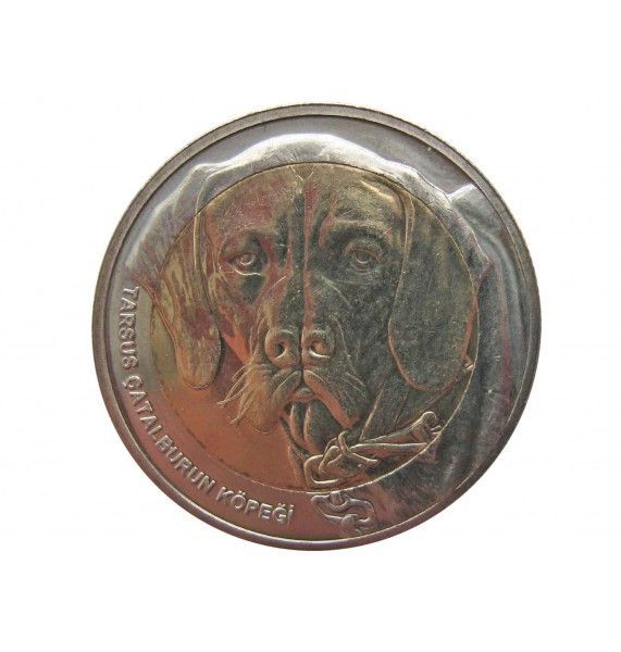 Турция 1 куруш 2021 г. (Каталбурун)