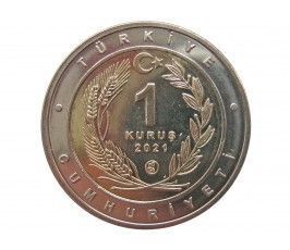 Турция 1 куруш 2021 г. (Каталбурун)