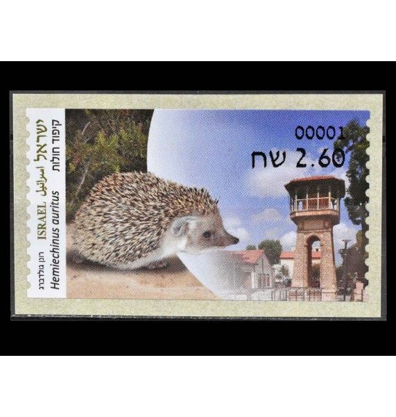 Израиль 2022 г. "Животные в городской среде: Ушастые ежи" (самоклейка)