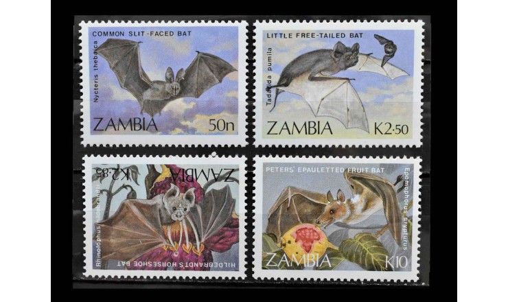 Замбия 1989 г. "Летучие мыши"