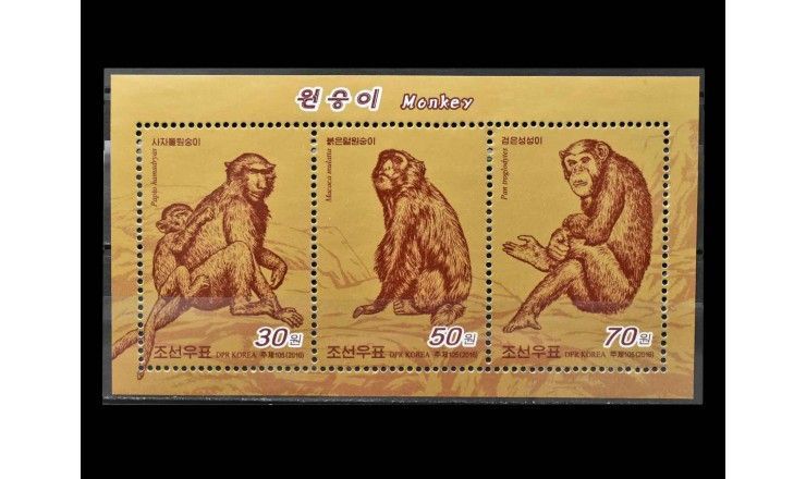 Северная Корея 2016 г. "Обезьяны"