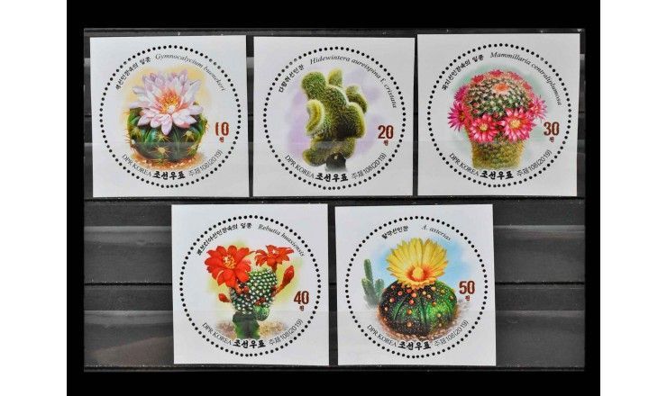Северная Корея 2019 г. "Кактусы"