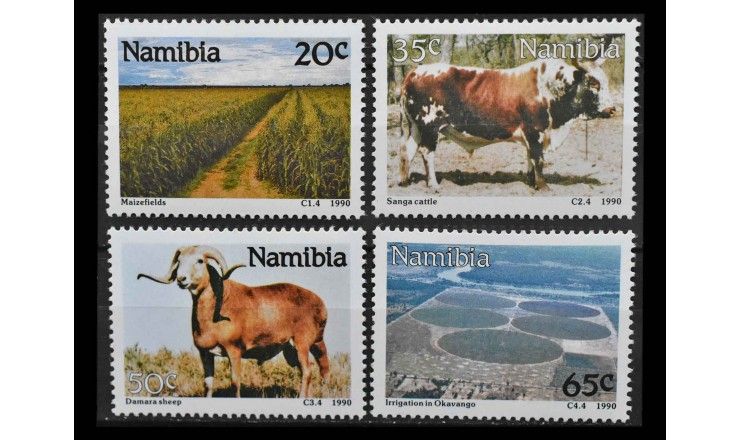Намибия 1990 г. "Сельское хозяйство"