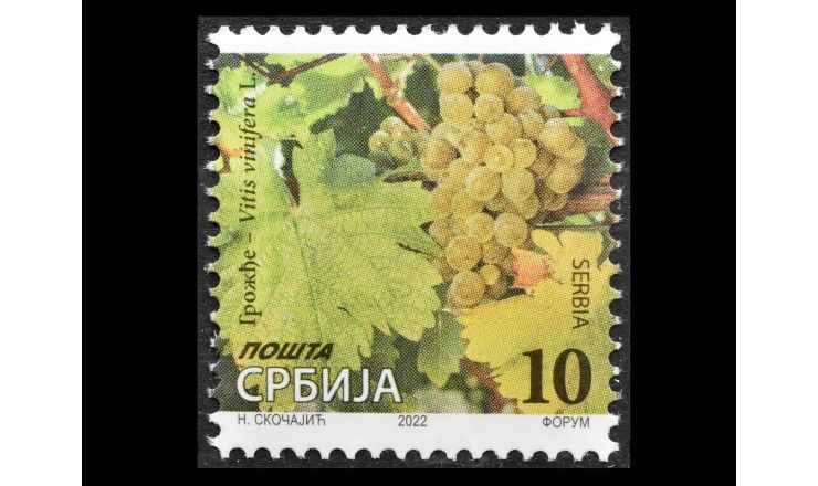 Сербия 2022 г. "Виноград"