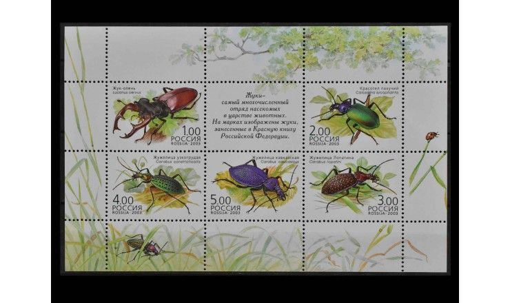 Россия 2003 г. "Жуки" 