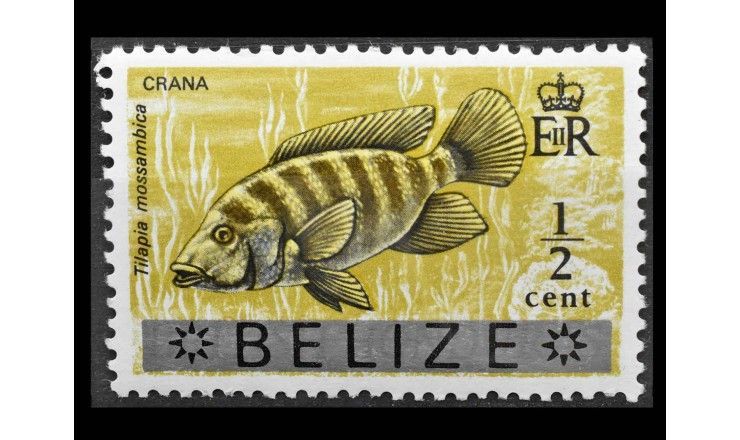 Белиз 1973 г. "Стандартные марки: Рыбы" (надпечатка)
