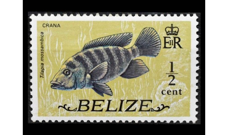 Белиз 1974 г. "Стандартные марки: Рыбы"