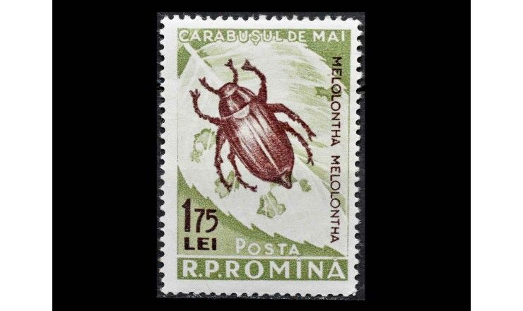 Румыния 1956 г. "Насекомые" 