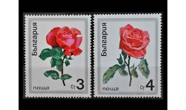 Болгария 1970 г. "Розы"
