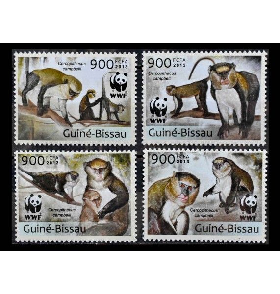 Гвинея-Бисау 2013 г. "Всемирный фонд дикой природы: Мартышка Кемпбелла" Гвинея-Бисау 2013 г. "Всемирный фонд дикой природы: Мартышка Кемпбелла"