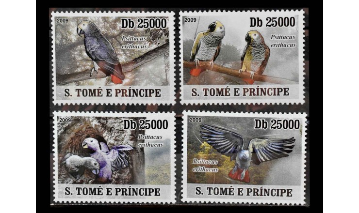 Сан-Томе и Принсипи 2009 г. "Всемирный фонд дикой природы: Серый попугай"
