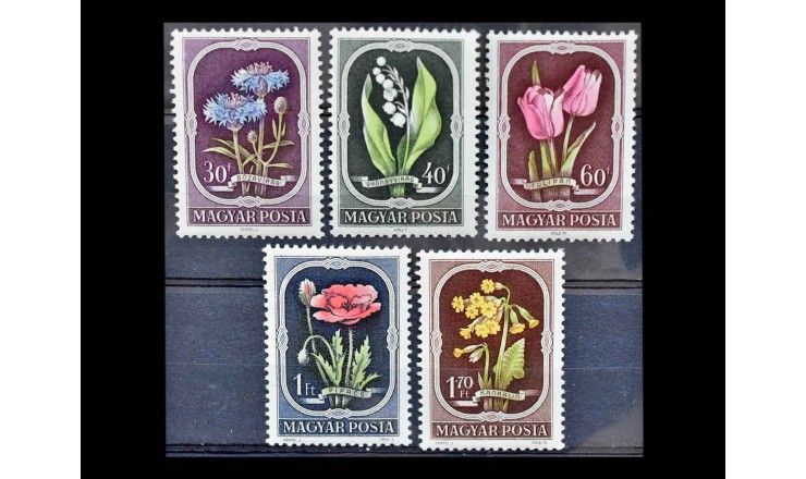Венгрия 1951 г. "Цветы"