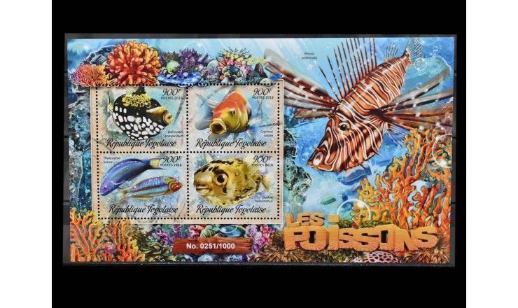 Того 2016 г. "Рыбы" 