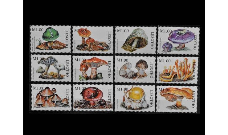 Лесото 1998 г. "Грибы"