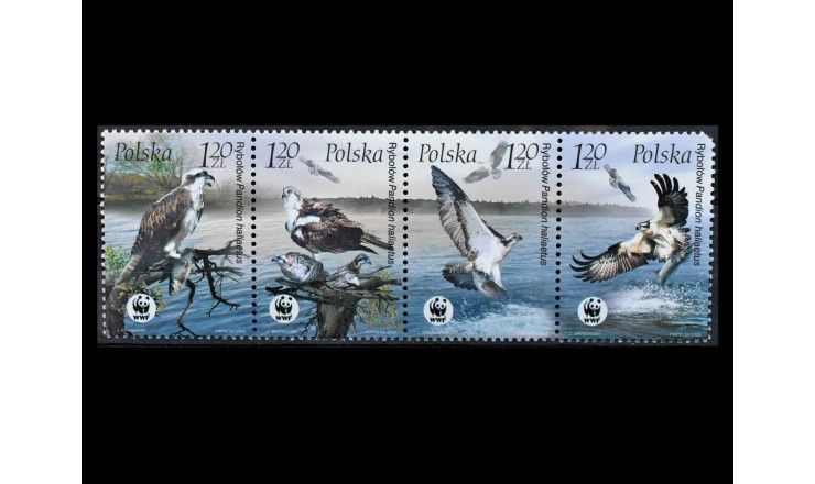 Польша 2003 г. "Всемирный фонд дикой природы: Скопа" (дефект)