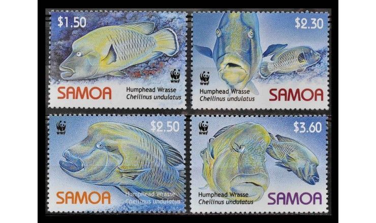 Самоа 2006 г. "Всемирный фонд дикой природы: Рыба Наполеон"