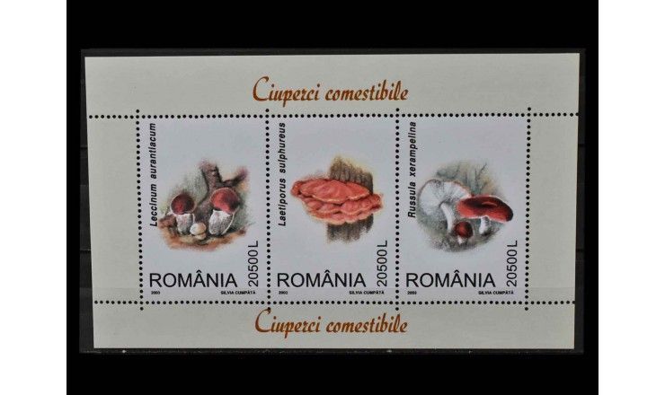 Румыния 2003 г. "Грибы"