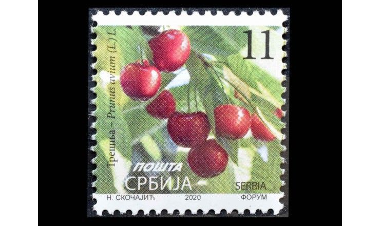 Сербия 2020 г. "Черешня"