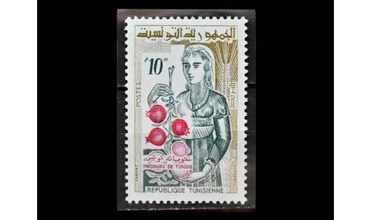 Тунис 1959 г. "Жизнь в Тунисе"