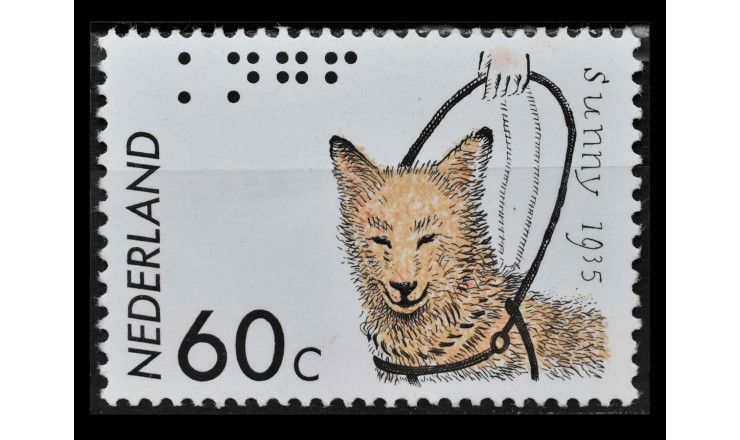 Нидерланды 1985 г. "Голландский Королевский фонд собак-поводырей"