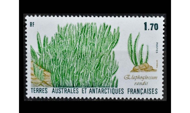 Французские Южные и Антарктические Территории 1988 г. "Растения Антарктики"