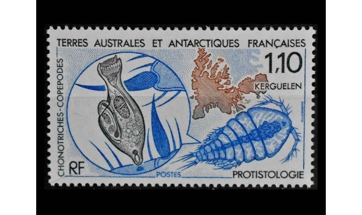 Французские Южные и Антарктические Территории 1990 г. "Микроскопические животные"