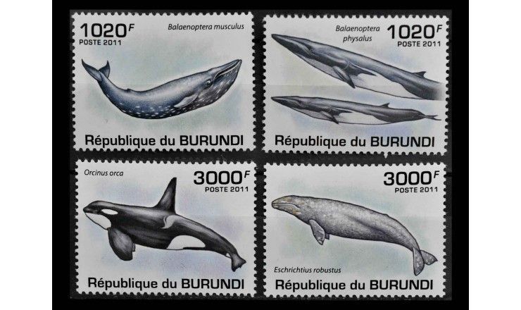 Бурунди 2011 г. "Киты"
