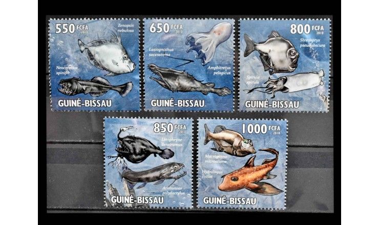 Гвинея-Бисау 2010 г. "Донные и хищные морские животные"