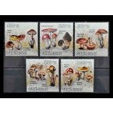 Гвинея-Бисау 2010 г. "Грибы"