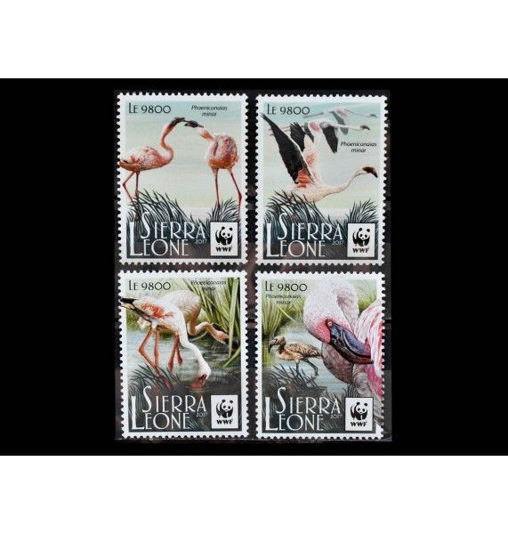 Сьерра-Леоне 2017 г. "Всемирный фонд дикой природы: Малый фламинго" Сьерра-Леоне 2017 г. "Всемирный фонд дикой природы: Малый фламинго"