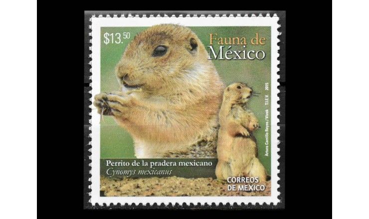 Мексика 2015 г. "Мексиканская луговая собачка"