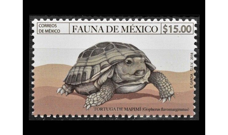 Мексика 2018 г. "Черепахи"