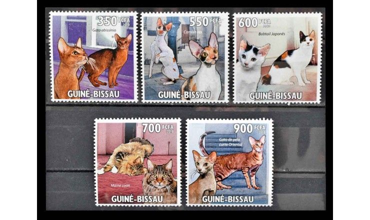 Гвинея-Бисау 2010 г. "Кошки" 