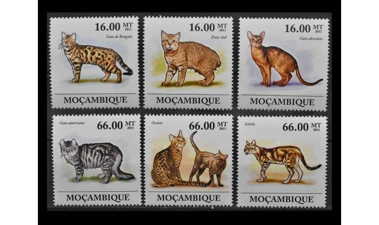 Мозамбик 2011 г. "Кошки"