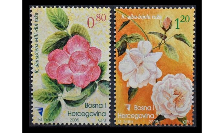 Босния и Герцеговина 2005 г. "Розы"