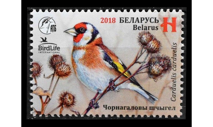 Белоруссия 2018 г. "Птица года: Черноголовый щегол"
