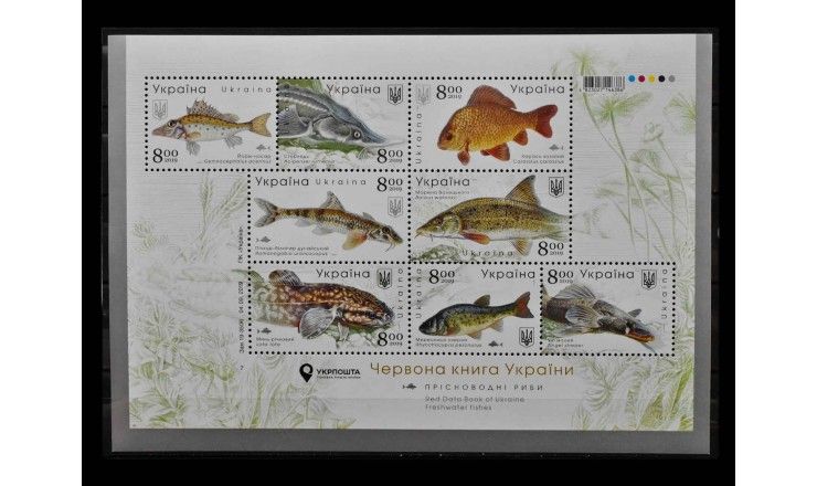 Украина 2019 г. "Рыбы"