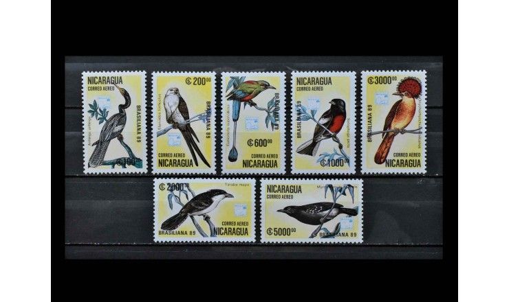 Никарагуа 1989 г. "Птицы"