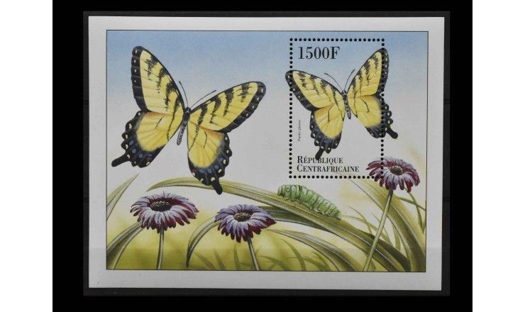 ЦАР 2000 г. "Бабочки"