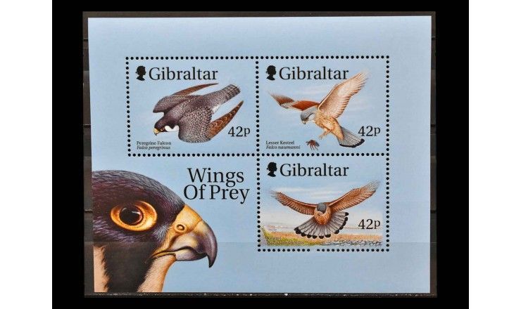 Гибралтар 1999 г. "Истребители и хищные птицы" 