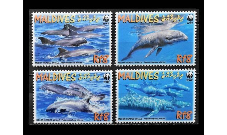 Мальдивы 2009 г. "WWF Охрана природы: Широкомордый дельфин"