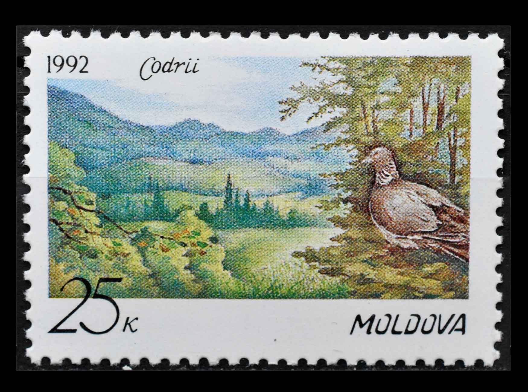 Купить Молдавия 1992 г. Вяхирь (Дикий лесной голубь) в интернет магазине  Моя Коллекция