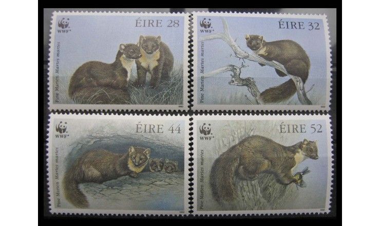 Ирландия 1992 г. "Лесная куница"