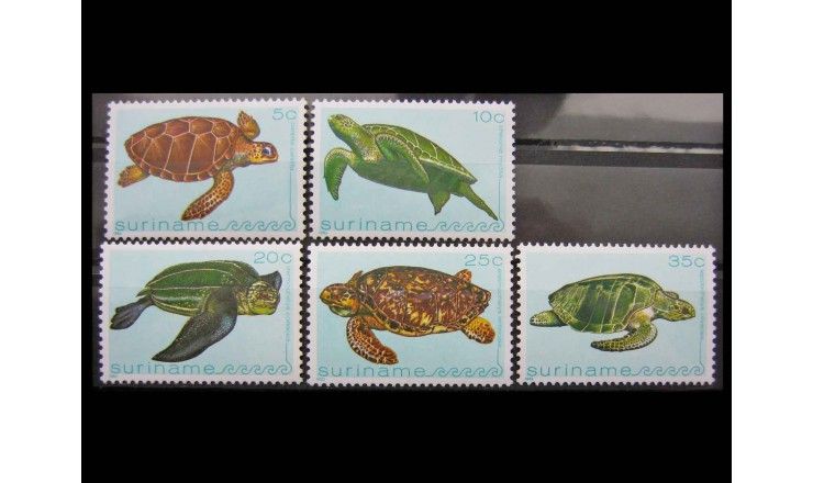 Суринам 1982 г. "Черепахи"