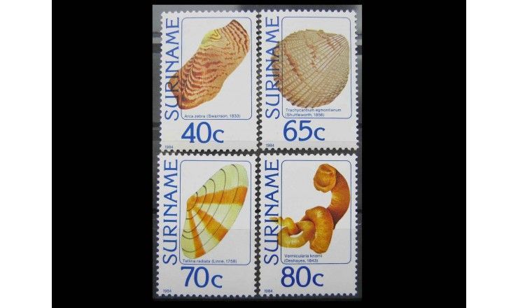 Суринам 1984 г. "Моллюски и улитки"
