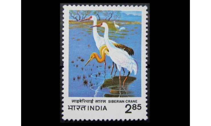 Индия 1983 г. "Стерх"
