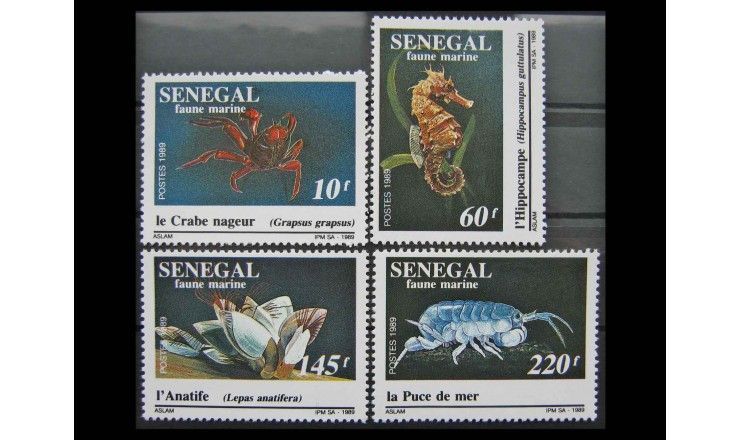 Сенегал 1989 г. "Морская фауна"