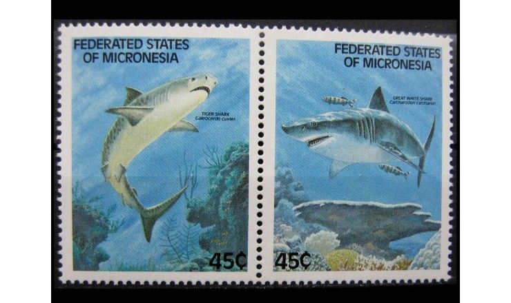 Микронезия 1989 г. "Акулы"