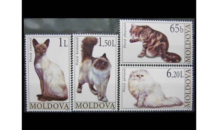 Молдавия 2007 г. "Кошки"